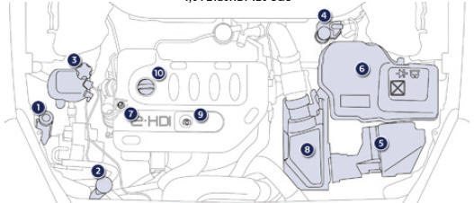 Motores Diesel Blue HDi 