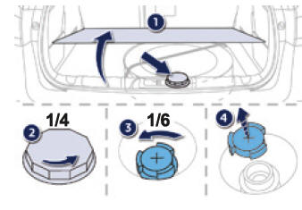 Procedimento